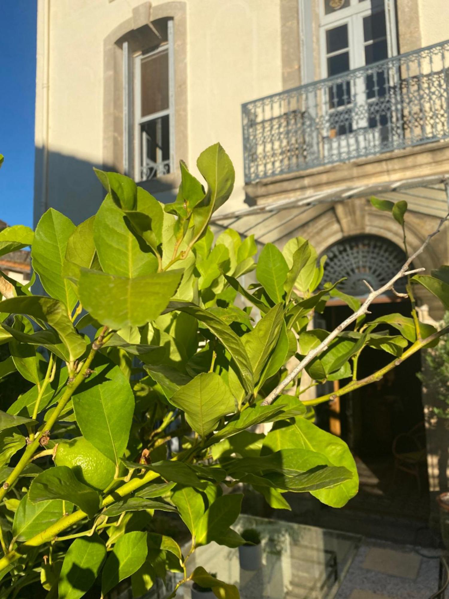 Le Jardin Ξενοδοχείο Aspiran Εξωτερικό φωτογραφία
